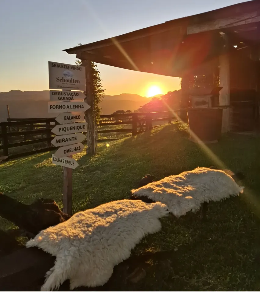 Ambiente entre vinhedos na Vinícola Schoulten